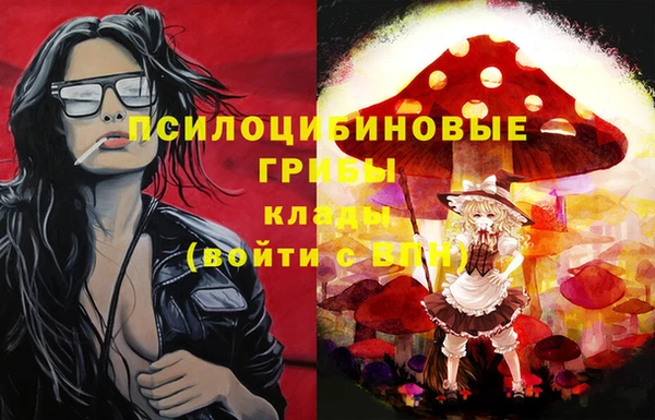 индика Бабаево