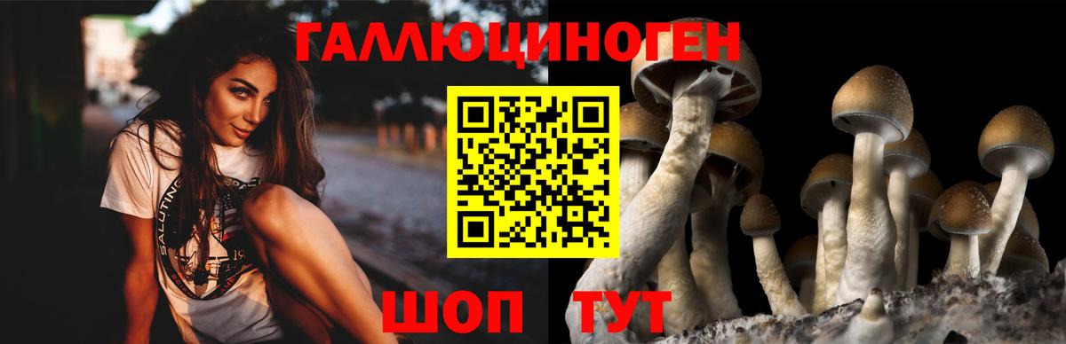 Псилоцибиновые грибы Magic Shrooms  Псилоцибиновые грибы Psilocybine cubensis  Вход с VPN  наркота  Бугуруслан 