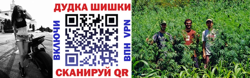 закладка  Бугуруслан  Бошки Шишки OG Kush 